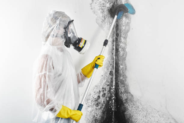 Best Comprehensive Air Testing for Mold Contaminants  in Greensburg, IN
