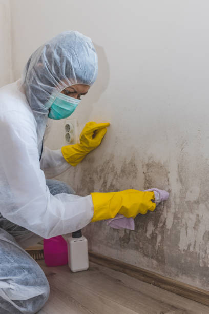 Best Residential Mold Inspection & Testing  in Greensburg, IN