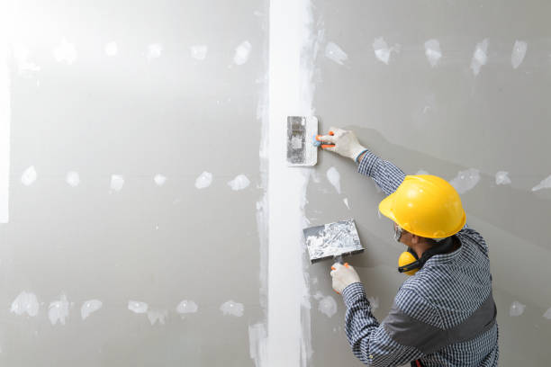 Trusted Greensburg, IN Mold Removal Experts