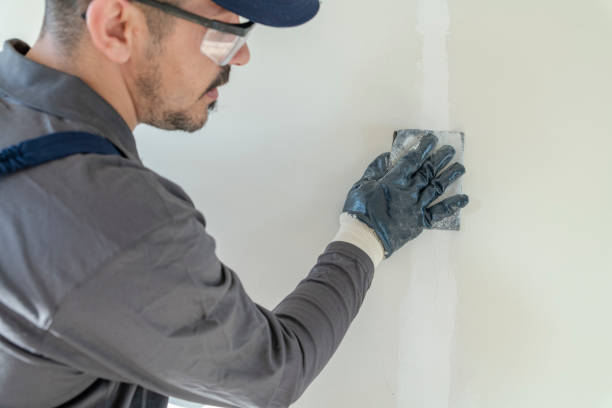 Best Post-Construction Mold Inspection  in Greensburg, IN